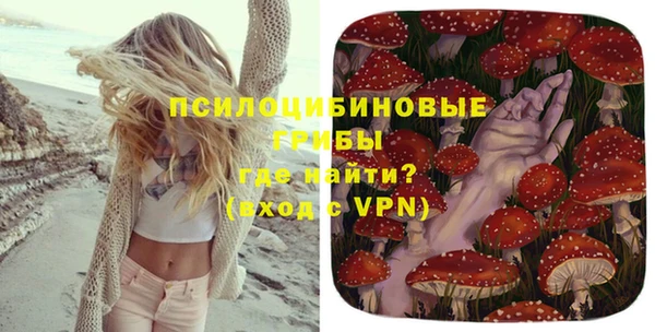 метадон Армянск